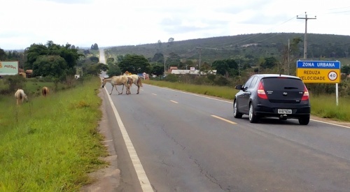 Foto: Blog do Jorge Amorim